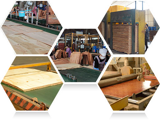 —高效生產，快速交貨